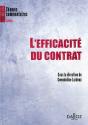 L'Efficacité Du Contrat - Preview