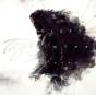 Left in the Dark - CD - Preview