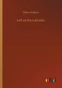 Left On The Labrador