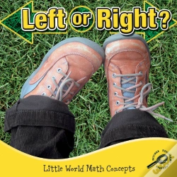 Capa do artigo Left Or Right