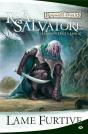 Legende De Drizzt (La) T.5 - Lame Furtive - Grand Format - Preview