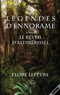 Capa do artigo Légendes D'Ennorame Tome 3 : Le Reveil D'Aldmerissel