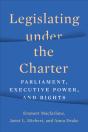Legislating Under The Charter - Preview