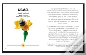 Capa do artigo Lego Botanicals - Flores Silvestres