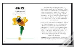 Capa do artigo Lego Botanicals - Flores Silvestres
