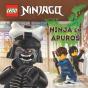 LEGO Ninjago - Preview