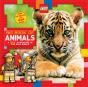 Lego(R) Nonfiction - Preview