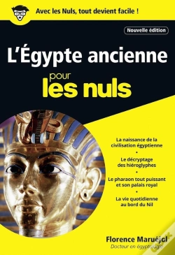 Capa do artigo L'Egypte Ancienne Pour Les Nuls (Édition 2017)