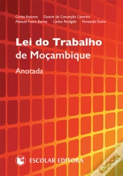 Capa do artigo Lei do Trabalho de Moçambique