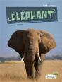 L'Éléphant - Preview