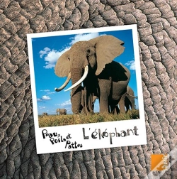 Capa do artigo L'Elephant