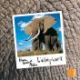 L'Elephant - Preview