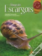L'Élevage Des Escargots