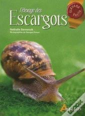 L'Élevage Des Escargots
