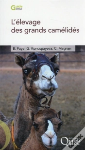 Capa do artigo L