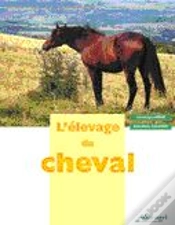Capa do artigo L