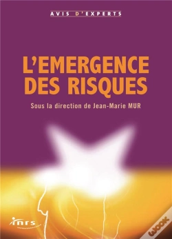 Capa do artigo L'Emergence Des Risques