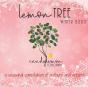 Lemon Tree - Winter 2020 - Preview