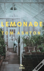 Capa do artigo Lemonade