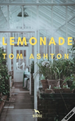 Capa do artigo Lemonade