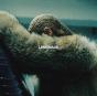 LEMONADE - Vinil - Preview