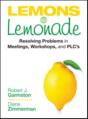 Lemons To Lemonade - Preview