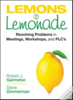 Capa do artigo Lemons To Lemonade