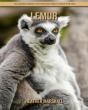 Lemur - Preview