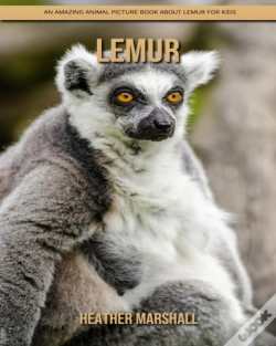 Capa do artigo Lemur