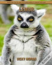Capa do artigo Lemur