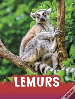 Capa do artigo Lemurs