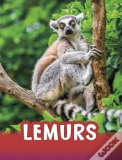 Capa do artigo Lemurs