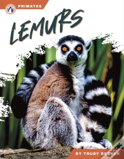 Capa do artigo Lemurs