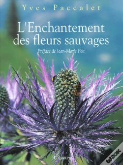 Capa do artigo L'Enchantement Des Fleurs Sauvages