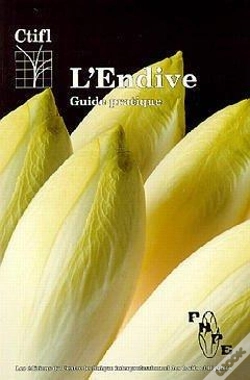 Capa do artigo L'Endive Guide Pratique
