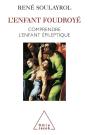L'Enfant Foudroye ; Comprendre L'Enfant Epileptique - Preview
