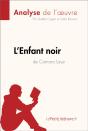 L'Enfant Noir De Camara Laye (Analyse De L'Oeuvre) - Preview