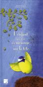 L'Enfant Qui Avait Une Mésange Sur La Tête - Preview
