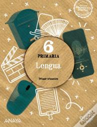 Lengua 6