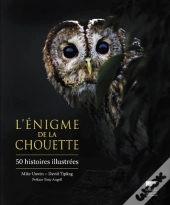 L'Énigme De La Chouette ; 50 Histoires Illustrées