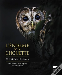 Capa do artigo L'Énigme De La Chouette ; 50 Histoires Illustrées