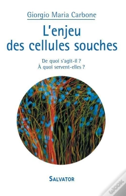 Capa do artigo L'Enjeu Des Cellules Souches ; De Quoi S'Agit-Il ? À Quoi Servent-Elles ?