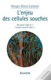 L'Enjeu Des Cellules Souches ; De Quoi S'Agit-Il ? À Quoi Servent-Elles ?