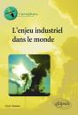 L'Enjeu Industriel Dans Le Monde - Preview
