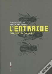 Capa do artigo L