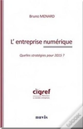 L'Entreprise Numérique ; Quelles Stratégies Pour 2015 ?