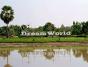 Leo Fabrizio ; Dreamworld - Preview
