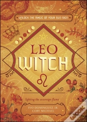 Capa do artigo Leo Witch