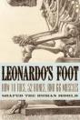 Leonardo'S Foot - Preview