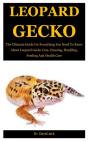 Leopard Gecko - Preview
